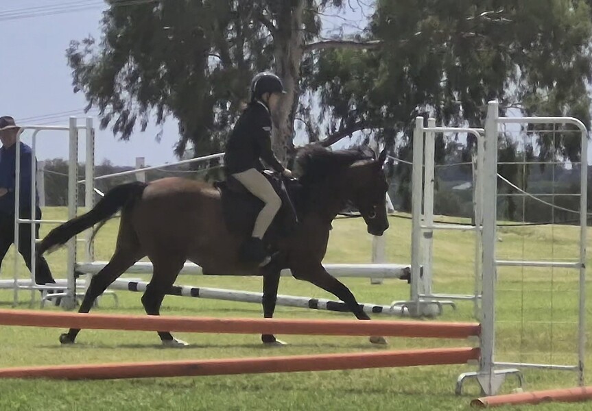 maya on horse
