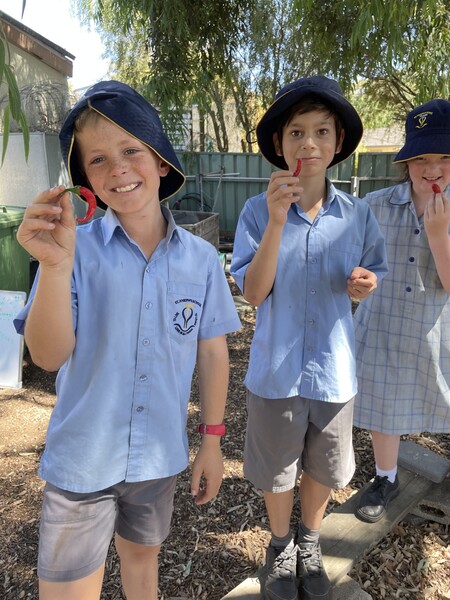 Luka, Morgan and Lex trying out the small red chillis