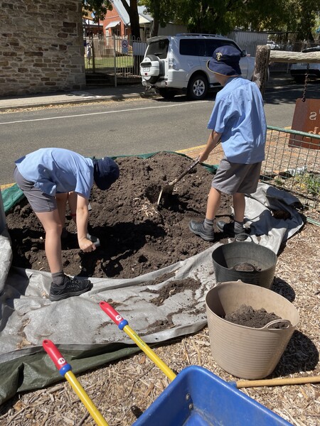 Morgan and Luka working hard