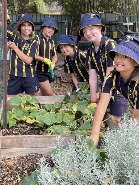 Talia, Lizzie, Imogen, Lexi & Greta working hard
