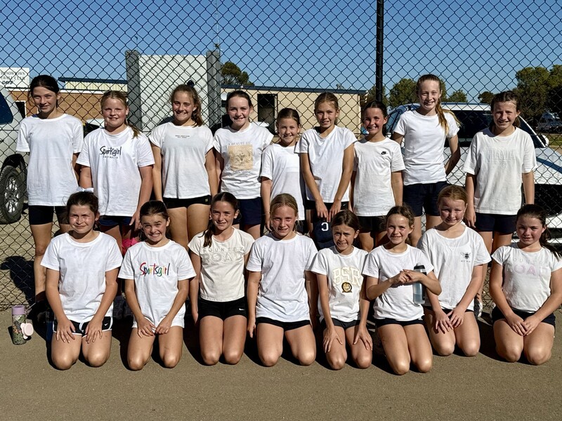 Hub Netball