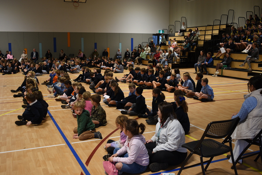 Crowd 1