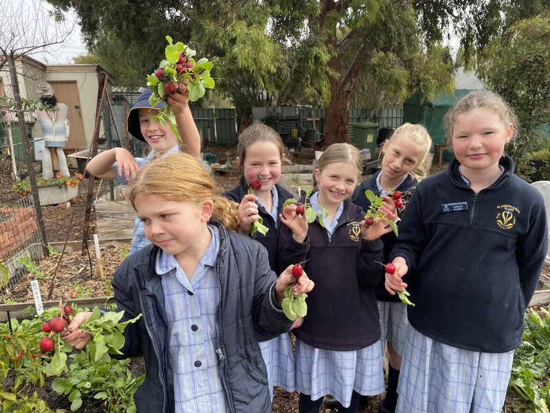 group with radishes